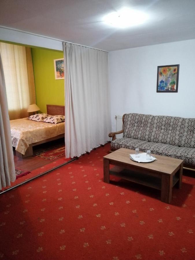 Hotel Rares بوتوساني المظهر الخارجي الصورة
